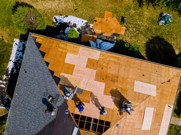 Best Storm Damage Roof Repair  in Quail Ridge, FL